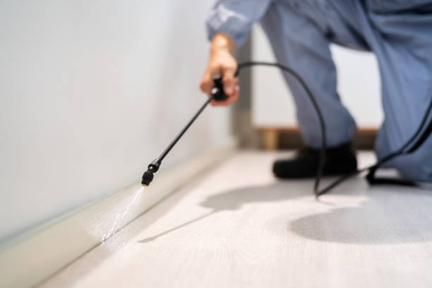 Licensed Cockroach Control service in Martinsville, IL - Nex Pest Control