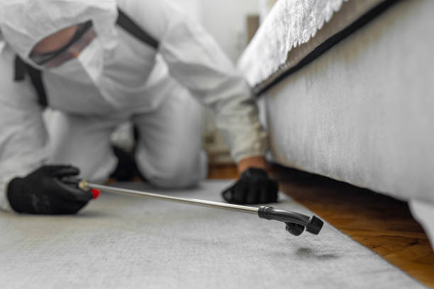 Professional Cockroach Control technician working in Martinsville, IL