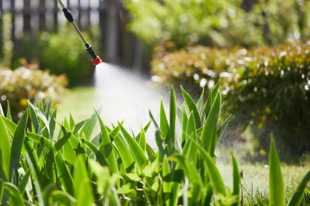 24/7 Emergency Cockroach Control experts in Martinsville, IL