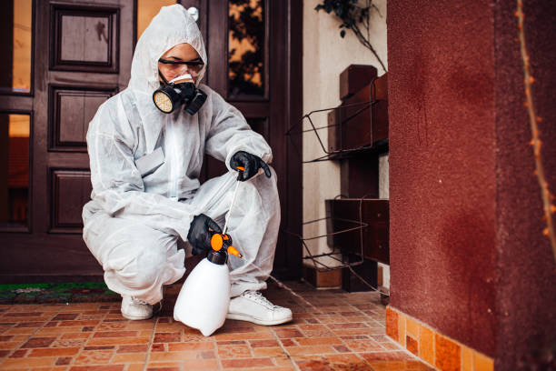 Reliable Cockroach Control contractor in Martinsville, IL by Nex Pest Control